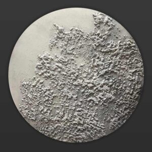 WHITE-GREY MOON 1