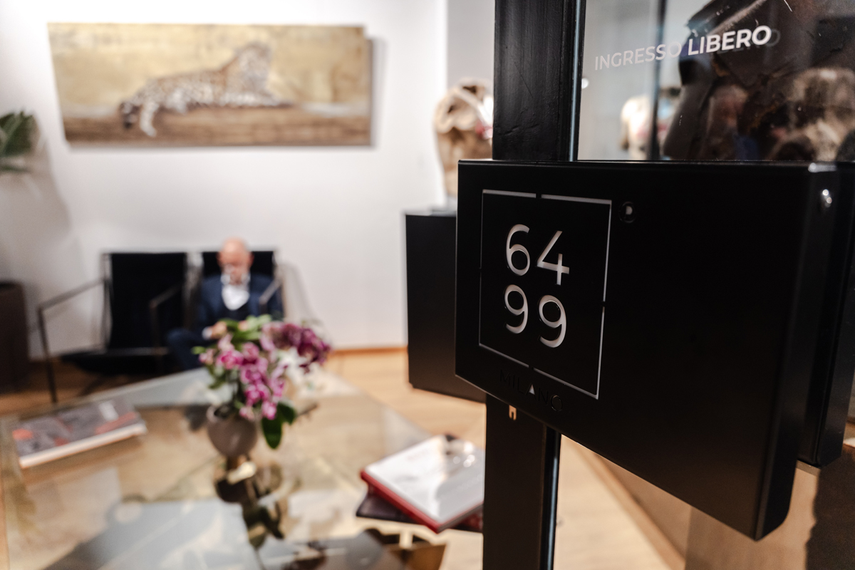 6499_gallery31