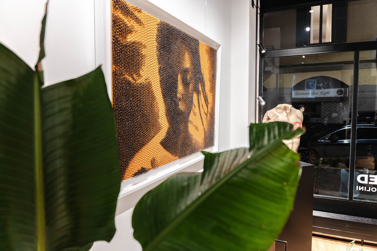 6499_gallery53
