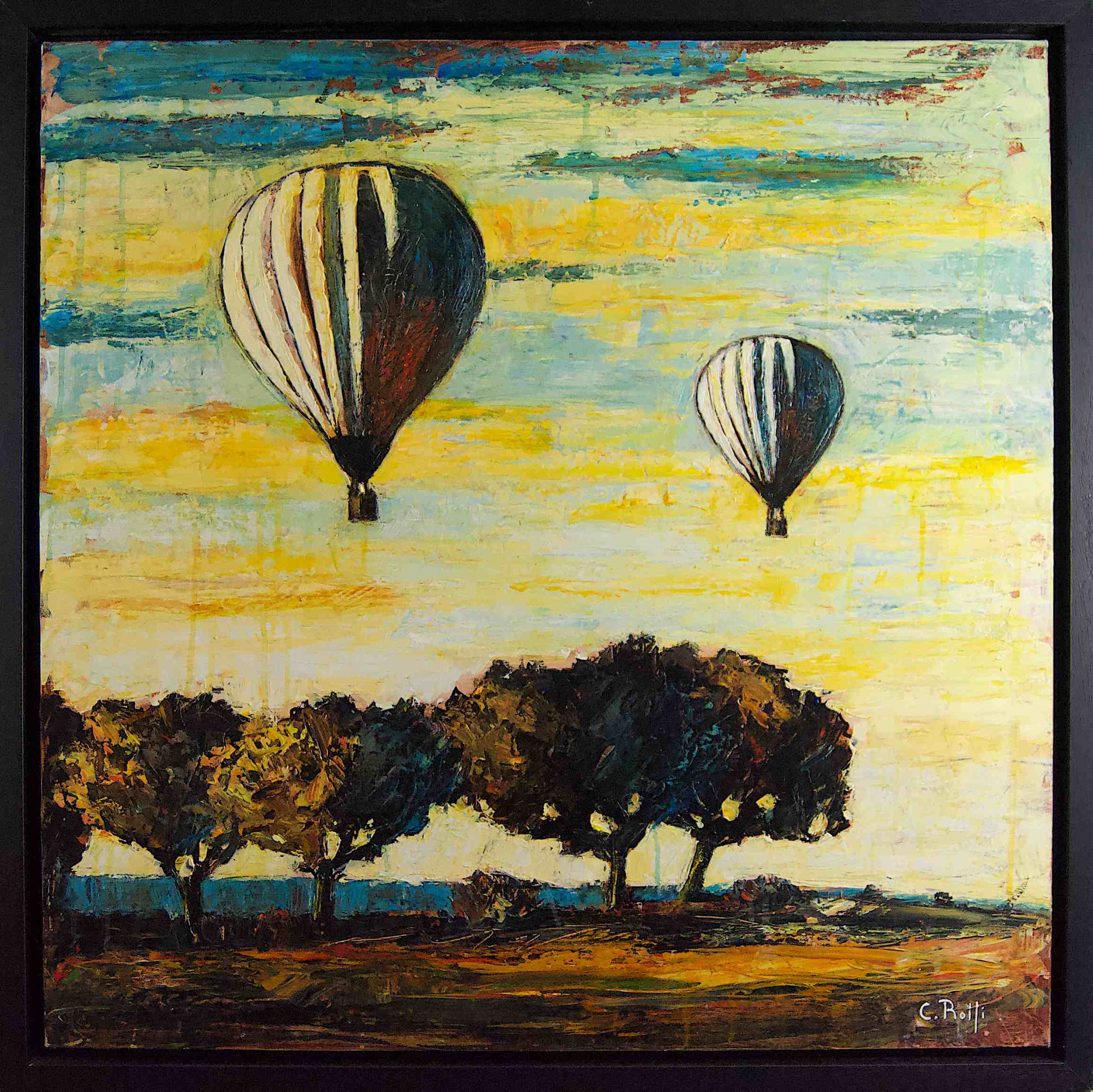 ROLFI CLAUDIO - VOLARE LONTANO - immagine principale